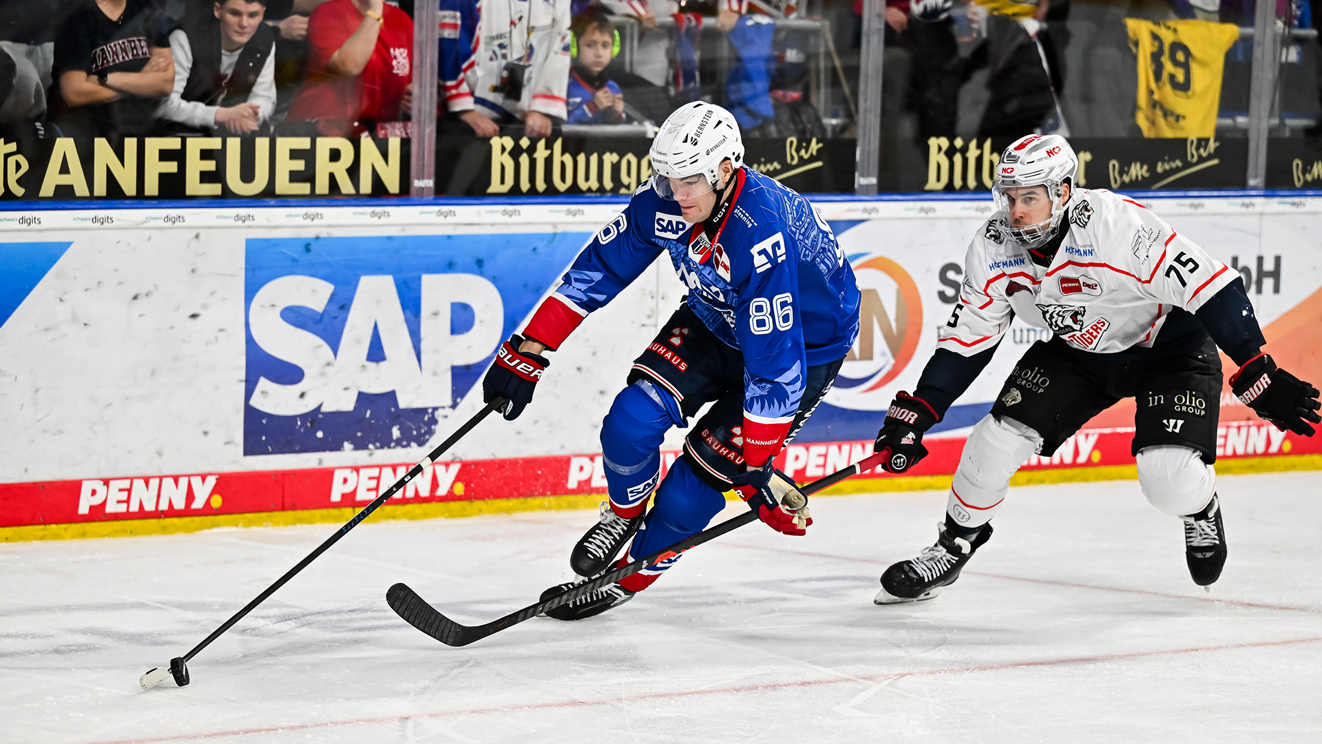 Adler Mannheim gg. Nürnberg Ice Tigers